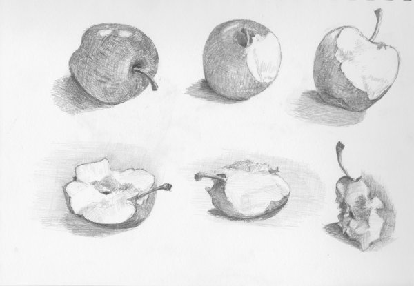Зарисовка яблока
