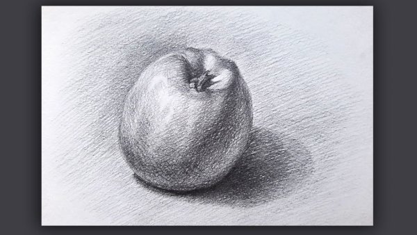 Яблоко рисунок штриховка