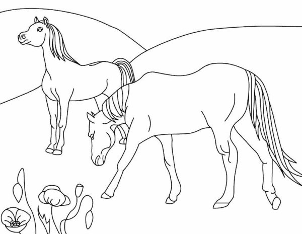 Лошадка трафарет для рисования