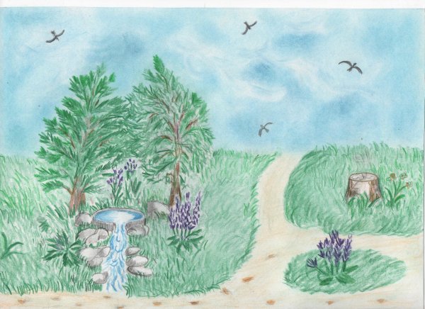 Родина Графика