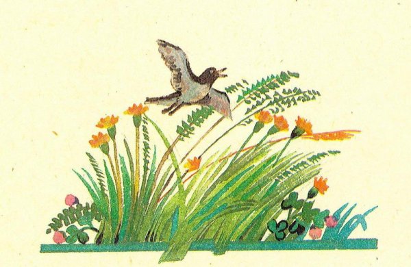 Рисунки по произведениям Купалы и Коласа