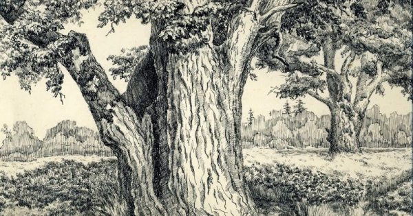 Эдуард Константинович Агунович