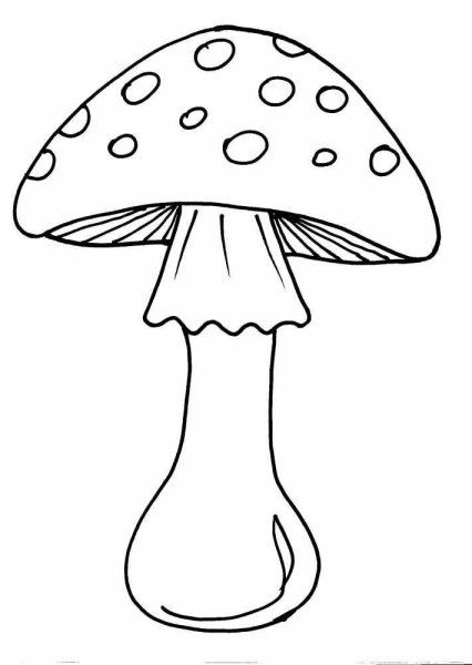 Мухомор рисунок карандашом