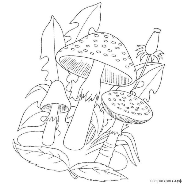 Басня грибы Михалкова