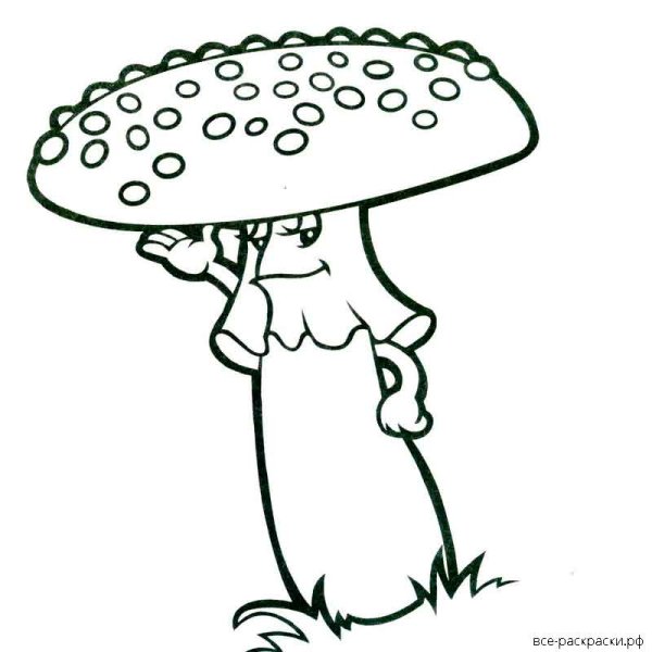 Мухоморы для детей черно-белые