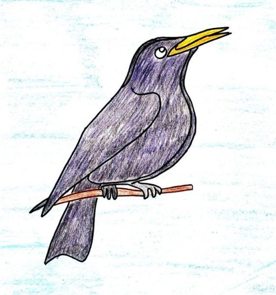 Нарисовать скворца