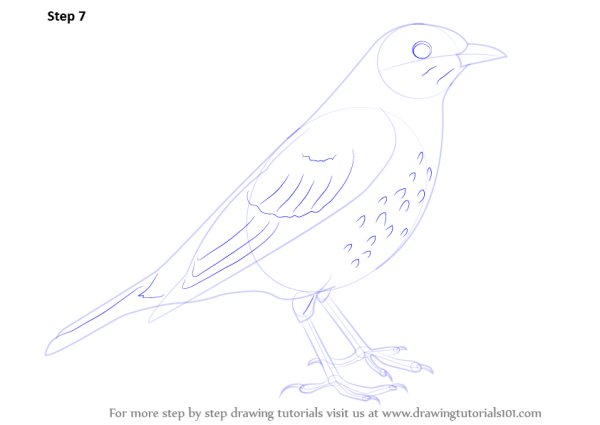 Птица карандашом