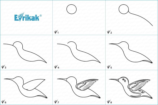 Поэтапное рисование скворца 1 класс