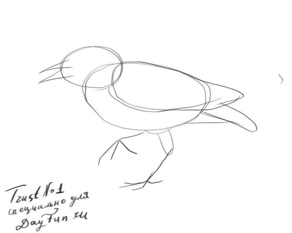 Грач раскраска