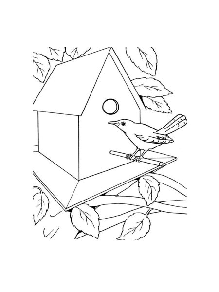 Грач раскраска для детей