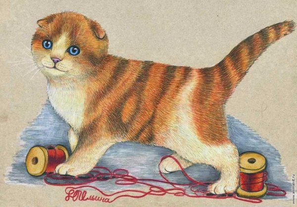 Котенок цветными карандашами