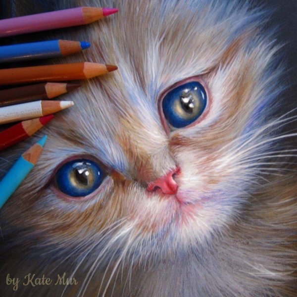 Карандаши цветные "животные"