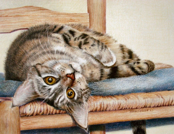 Котенок цветными карандашами