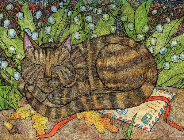 Котик цветными карандашами