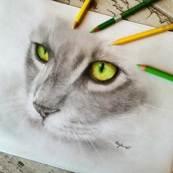 Живопись цветными карандашами