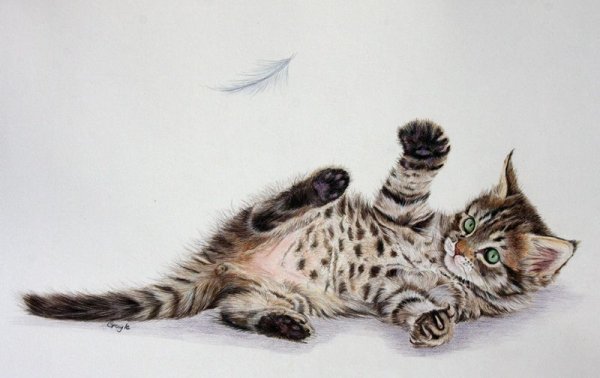 Наброски цветными карандашами