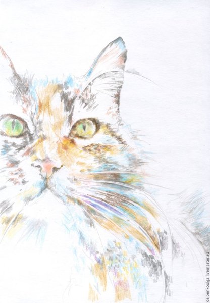 Живопись цветными карандашами