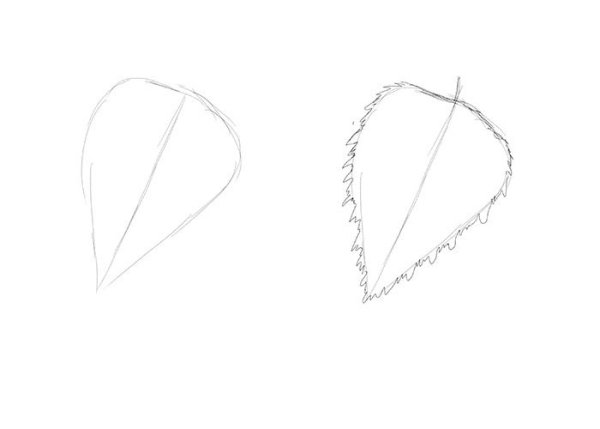 Поэтапное рисование ветки с листьями