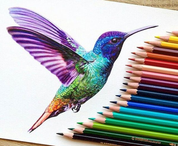 Тату Колибри эскизы