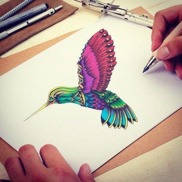 Колибри цветными карандашами