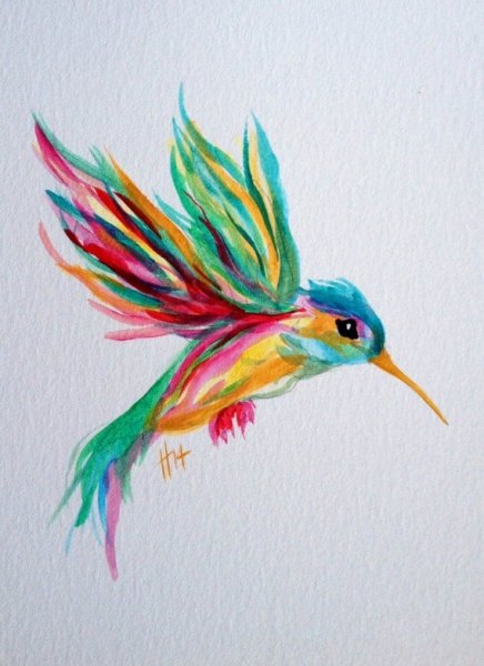 Колибри скетчинг