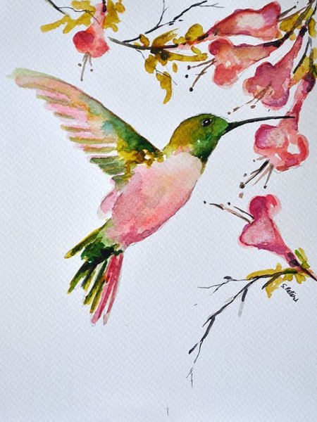 Рисунки птиц цветными карандашами