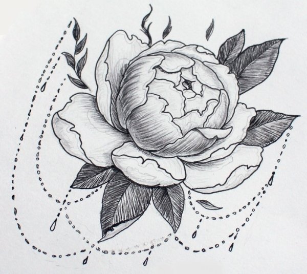 Пион Зентангл