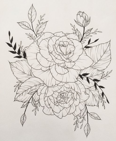 Пионы раскраска