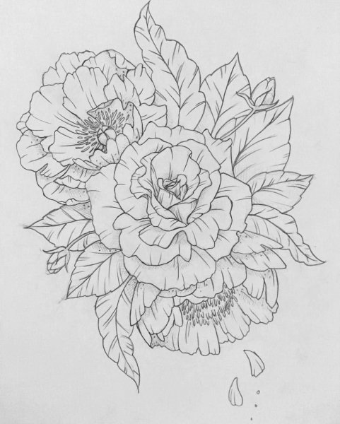 Цветы контур