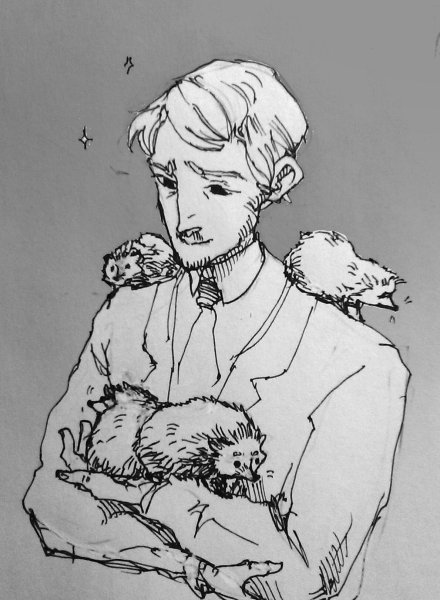 Достоевский портрет рисунок