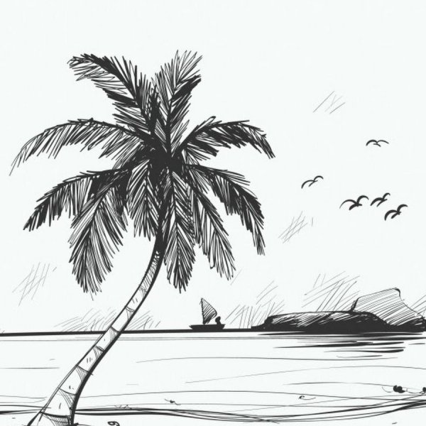 Пальма скетч
