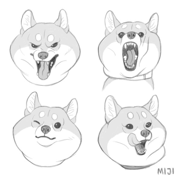 Референсы сиба ину