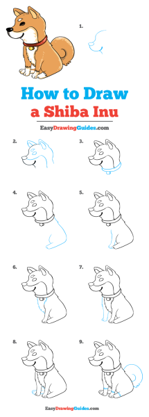 Нарисовать сиба ину