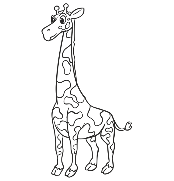 Жираф рисунок для срисовки