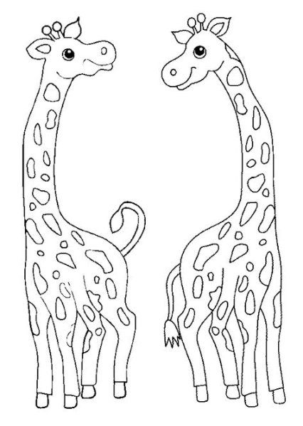 Жираф рисунок раскраска