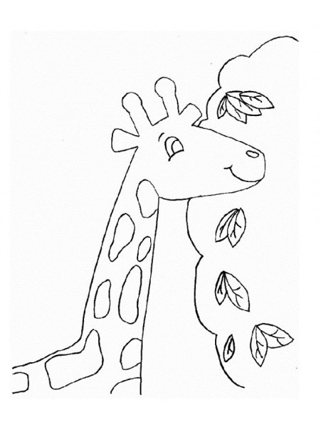 Жираф картинка для детей