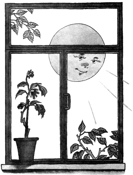 Рисунок утро