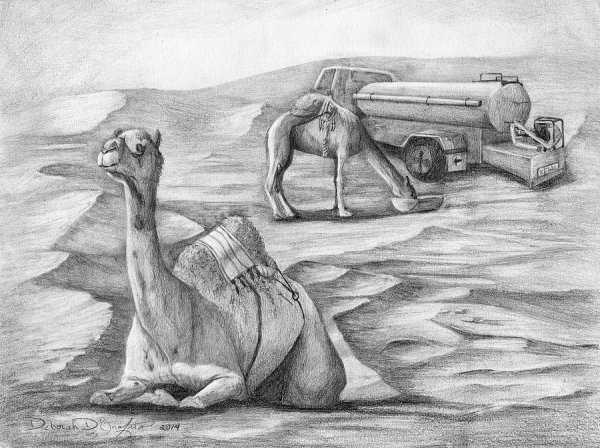 Рисунок пустыни карандашом