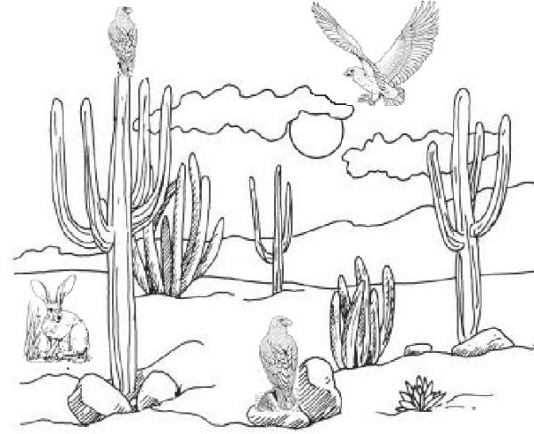 Пустыня карандашом