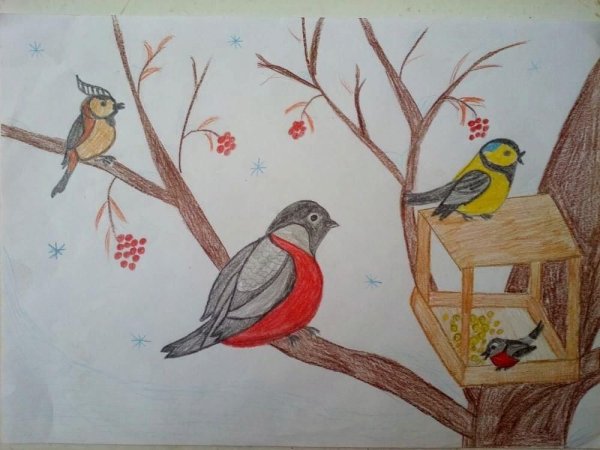 Рисование зимующие птицы