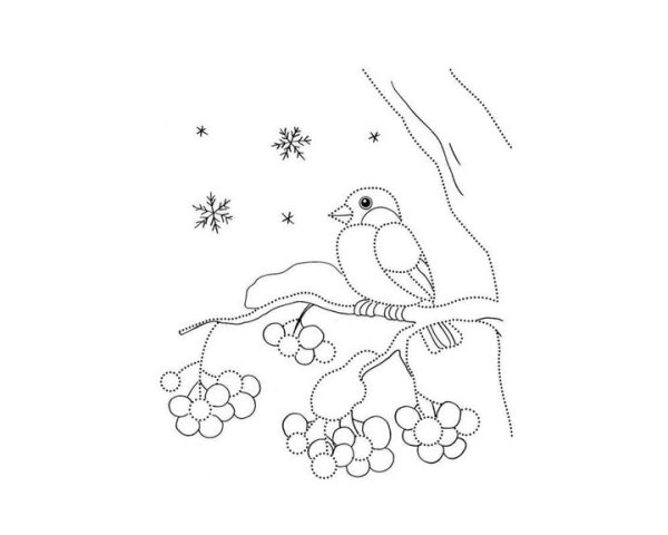 Снегирь рисунок карандашом