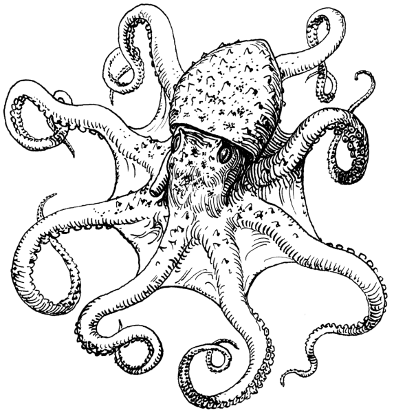 Рисунки по клеточкам осьминог