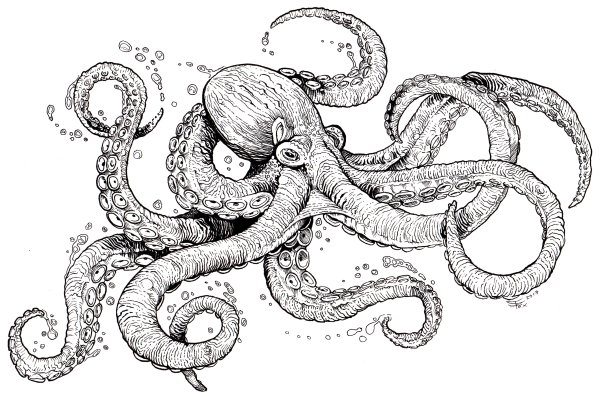 Рисование осьминог