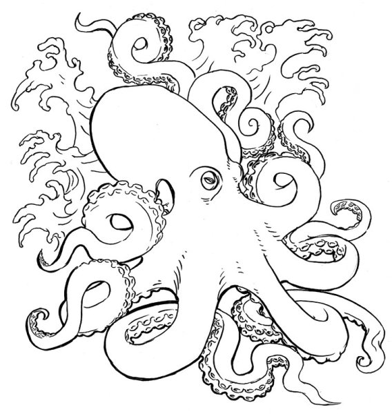 Осьминог для выжигания