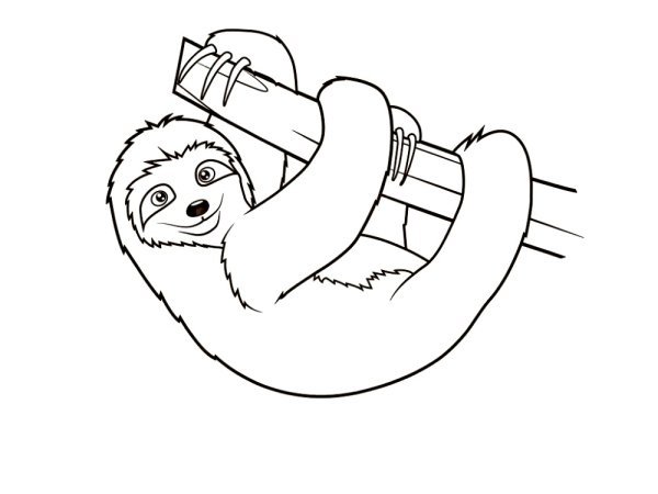 Ленивец раскраска