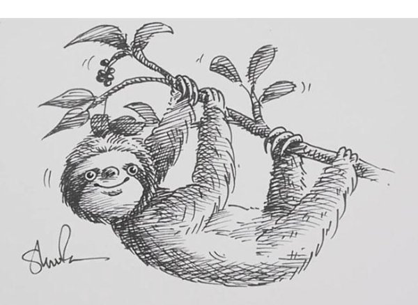 Ленивец рисунок простой