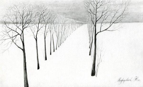 Рисование деревьев в перспективе