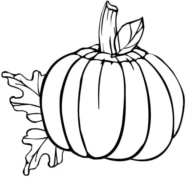 Рисуем тыкву карандашом