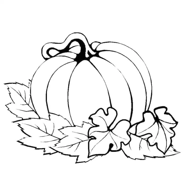 Тыква раскраска