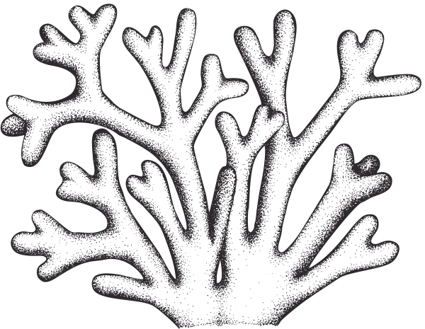 Кораллы раскраска для детей